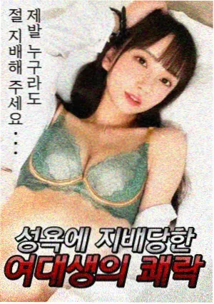 山茶巷十七号年代剧